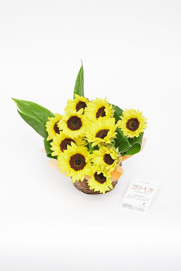 <p>夏を象徴する向日葵のアレンジメントフラワーは、この時期にしか販売していない季節限定フラワーギフトです。</p>