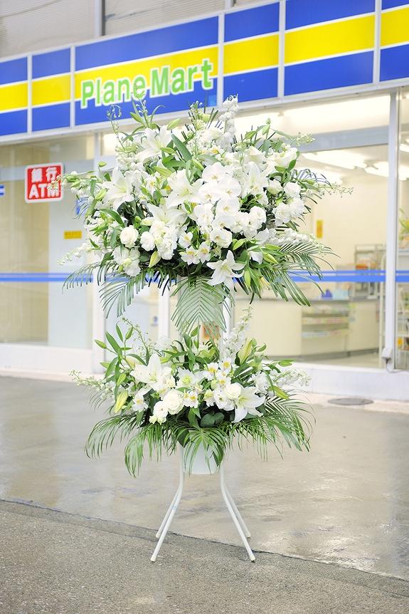 <p>お色指定はお届けする店舗やイベントのコンセプト、状況にマッチしますと、とてもお花が映えてまいります。</p>