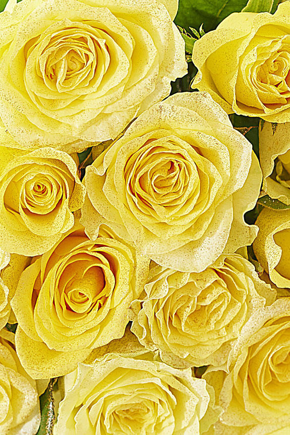 <p>豪華なゴールドラメ仕様（18金/K18）入り薔薇の花束・ブーケ商品です。</p>