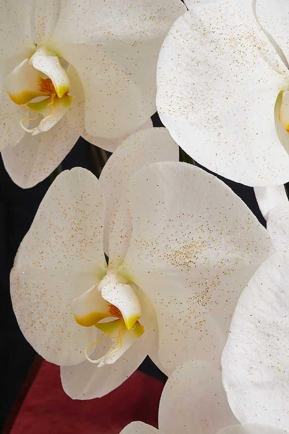 <p>大振りなコチョウランの花の上に散りばめられたゴールドラメが高級感を演出します。</p>