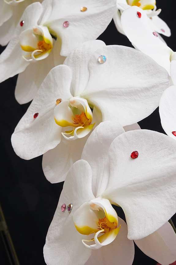 <p>大振りなコチョウランの花の上に散りばめられたストーンが高級感を演出します。</p>