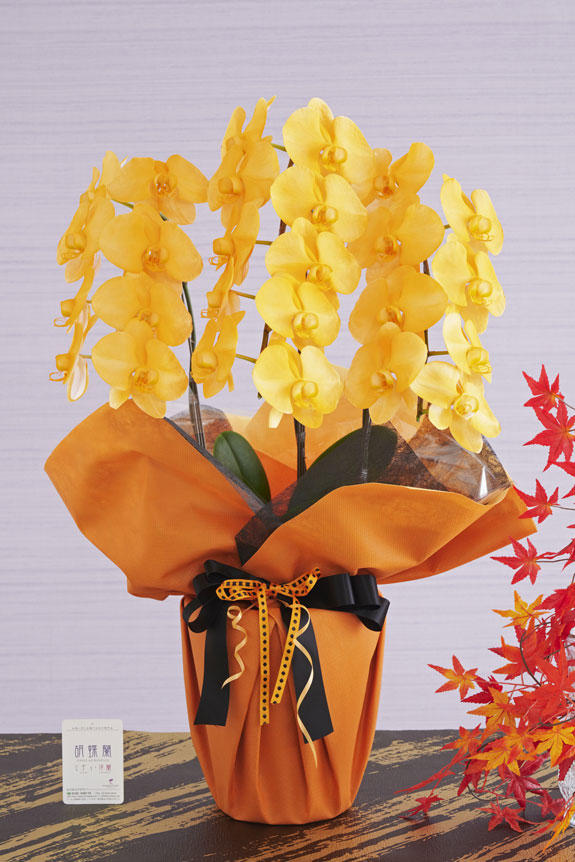 法事 法要の花など供花を当日配達 お悔やみの花はビジネスフラワー 法事 法要の花など供花を当日配達 お悔やみの花はビジネスフラワー