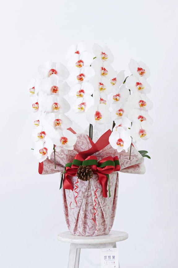 <p>天然色でも人気の白＆赤リップカラーの胡蝶蘭と、「松ぼっくり」を添えたラッピングがクリスマスに相応しいデザインになっています。</p>