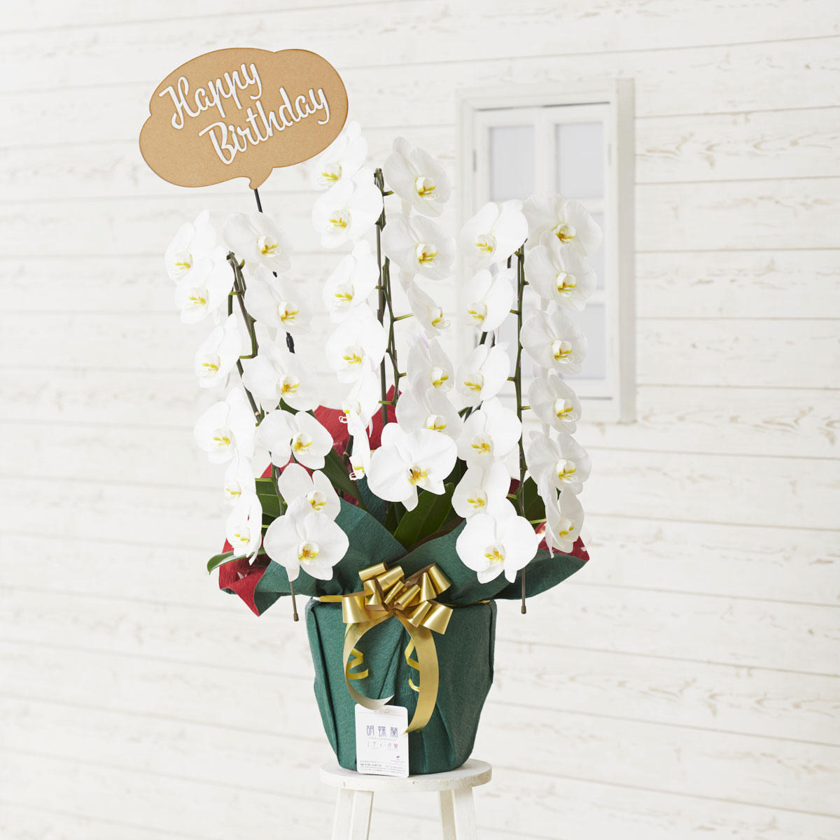 祝い花と供花の販売 ネットの花屋 ビジネスフラワー 3d立体メッセージ札 Happy Birthday 吹き出し型 付 豪華胡蝶蘭3本立 白 2万円コース規格 36輪以上 祝い花と供花の販売 ネットの花屋 ビジネスフラワー 3d立体メッセージ札 Happy Birthday 吹き出し型 付 豪華胡蝶蘭3本立 白 2万円コース規格 36輪以上