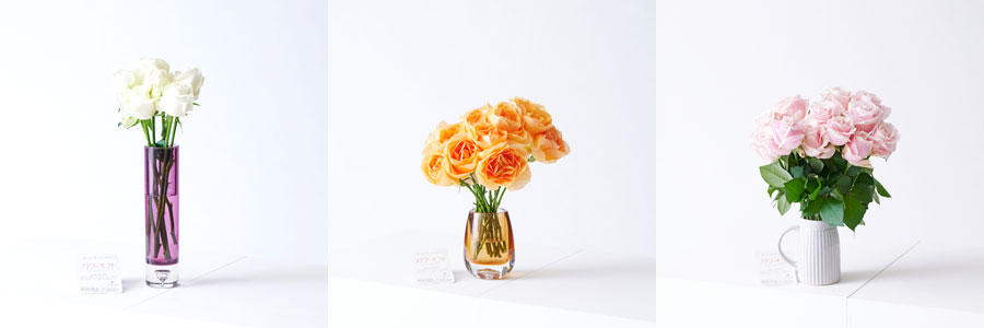 祝い花と供花の販売 ネットの花屋 ビジネスフラワー 花瓶フラワー フラワーベース 贈り物やプレゼントのフラワーギフトにお薦めの手頃なsサイズ 祝い花と供花の販売 ネットの花屋 ビジネスフラワー 花瓶フラワー フラワーベース 贈り物やプレゼントのフラワーギフトにお薦めの手頃なsサイズ