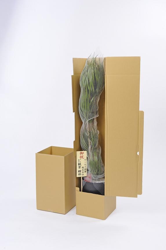 <p>観葉植物は厳重梱包の宅配でお届けしております。（イメージ）</p>