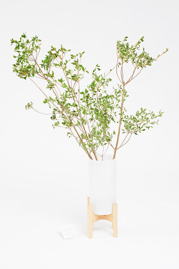 <p>様々な室内空間をワンランク上のお洒落な空間に変える植物（枝もの）と脚付き花瓶（フラワーベース）がセットになったインテリアグリーンです。</p>