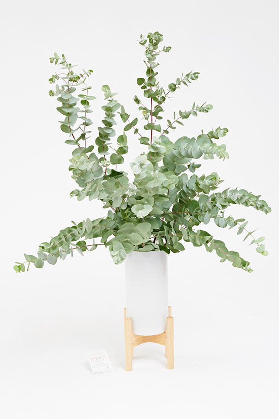 <p>様々な室内空間をワンランク上のお洒落な空間に変える植物（枝もの）と脚付き花瓶（フラワーベース）がセットになったインテリアグリーンです。</p>
