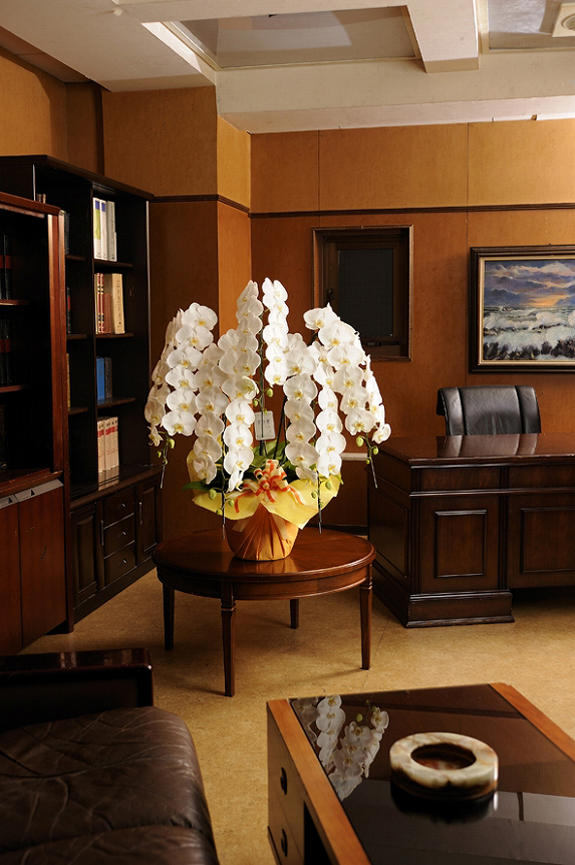 <p>就任祝いや上場祝いなど、ビジネス上のお祝い花の贈り物として大変人気のある胡蝶蘭商品です。</p>