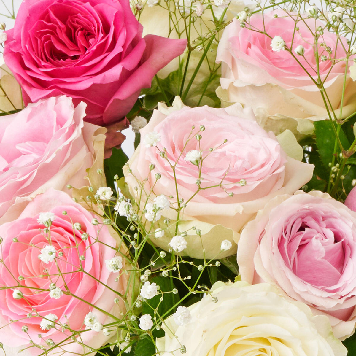 <p>農林水産大臣賞受賞・皇室献上実績の提携農園が育てたバラは、一般生花店で購入できるバラよりも花の大きさや花持ちの長さが特徴のお花です。</p>