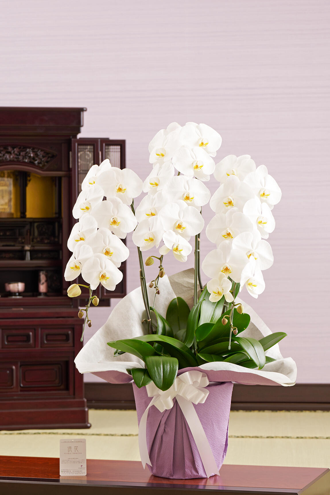 フューネラル胡蝶蘭3本立（白） 2万円コース（36～39輪程度）｜祝い花と供花の販売 ネットの花屋 ビジネスフラワー®
