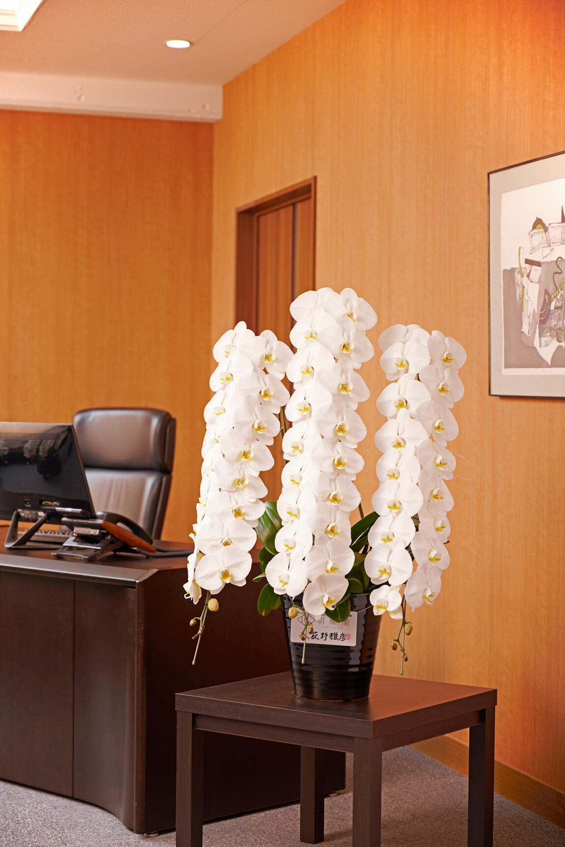 <p>様々な胡蝶蘭の規格（サイズ）がありますが、重厚な雰囲気の社長室や重役室、議員会館のお部屋に飾るのは匠胡蝶蘭®をお薦めします。</p>
