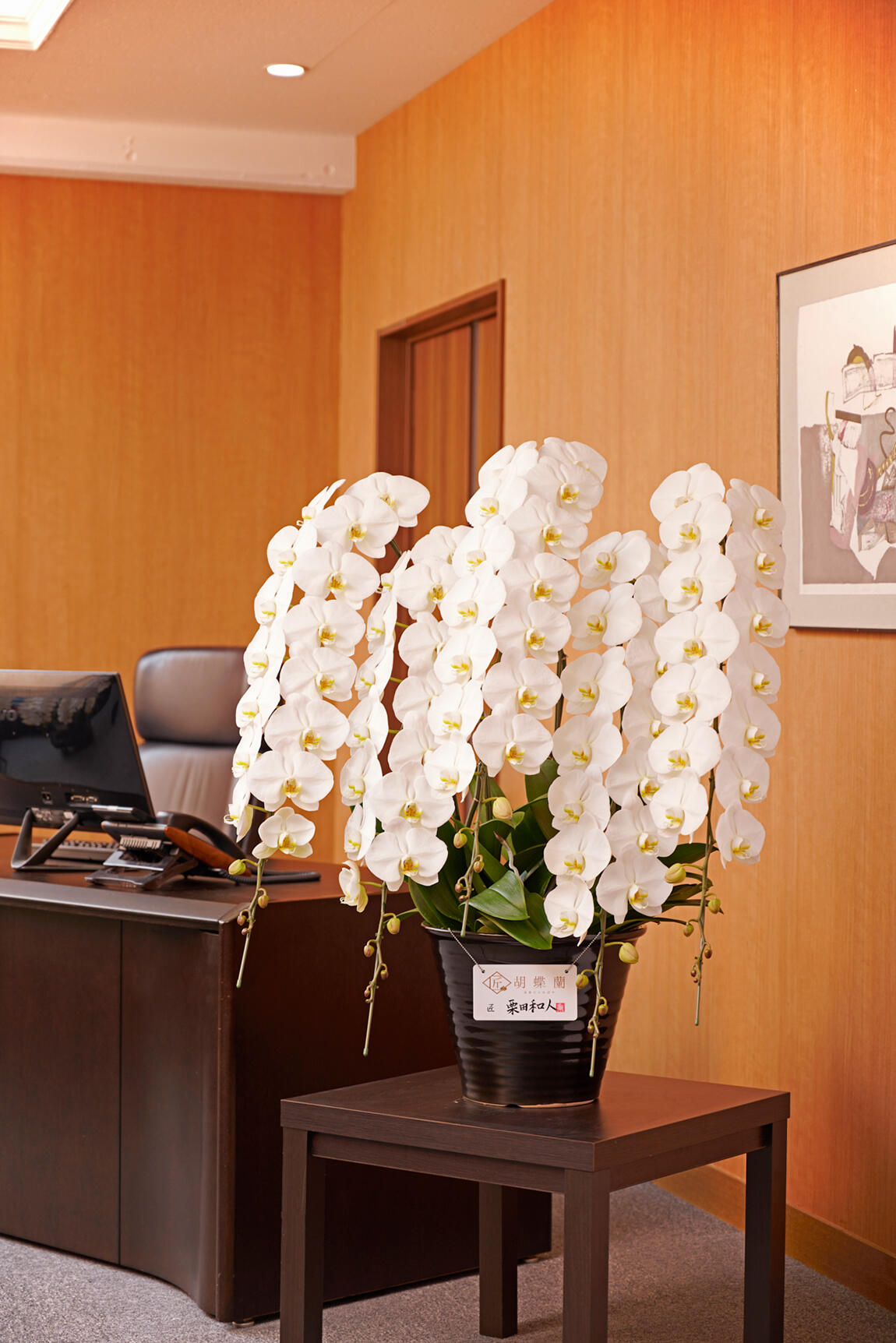 <p>様々な胡蝶蘭の規格（サイズ）がありますが、重厚な雰囲気の社長室や重役室、議員会館のお部屋に飾るのは匠胡蝶蘭®をお薦めします。</p>