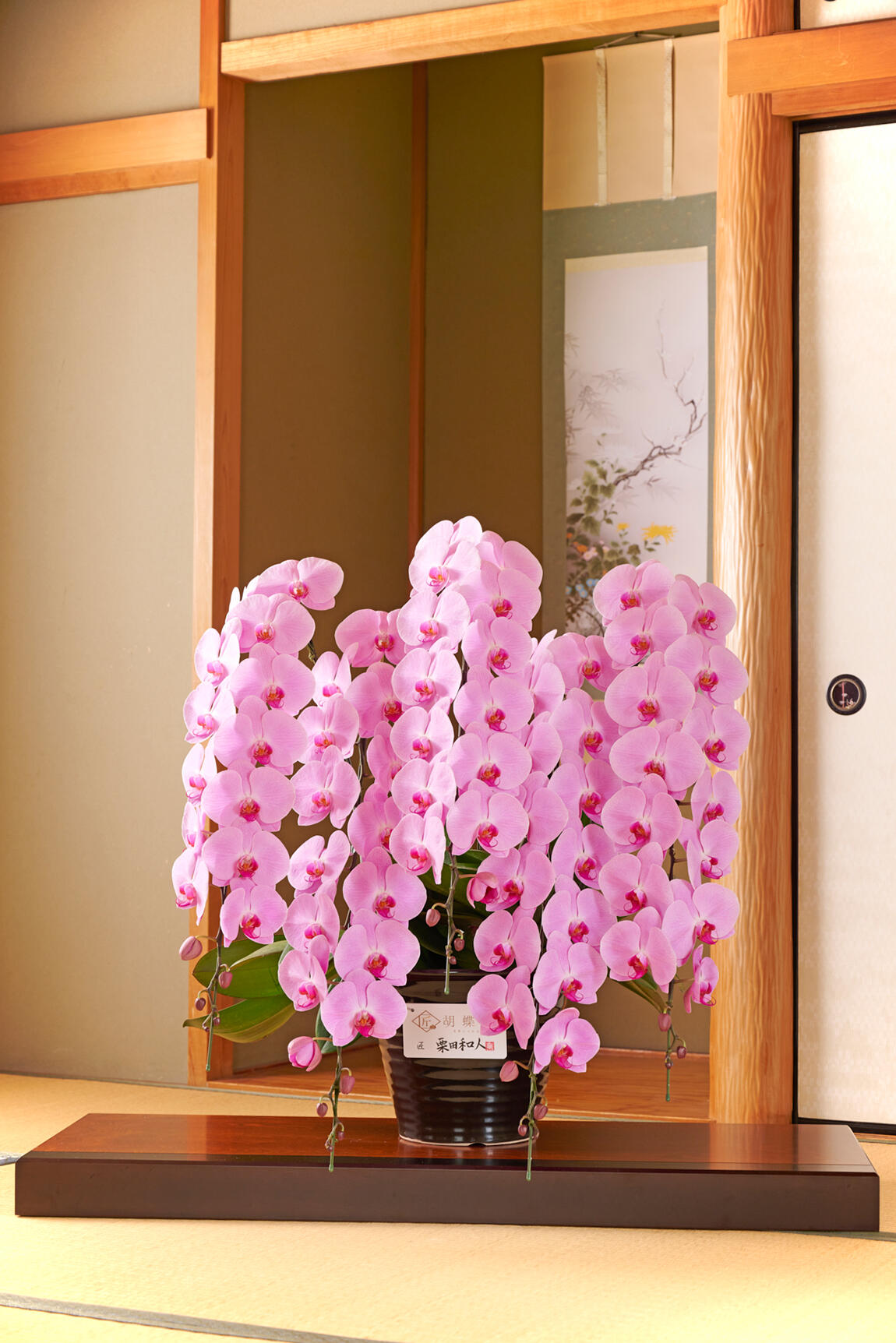 <p>和の静かな雰囲気にも合う、ハイセンス、ハイクオリティのお花は匠胡蝶蘭®にお任せください。</p>