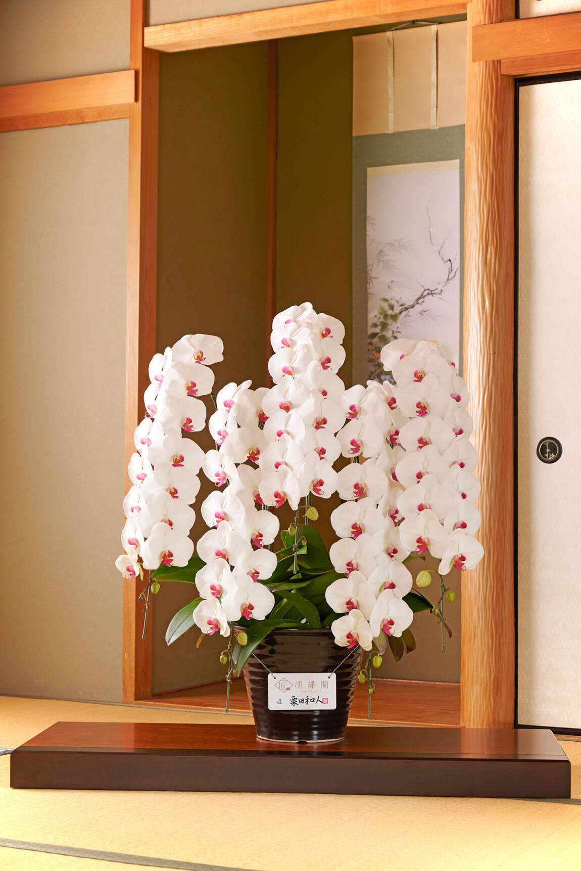 <p>和の静かな雰囲気にも合う、ハイセンス、ハイクオリティのお花は匠胡蝶蘭®にお任せください。</p>