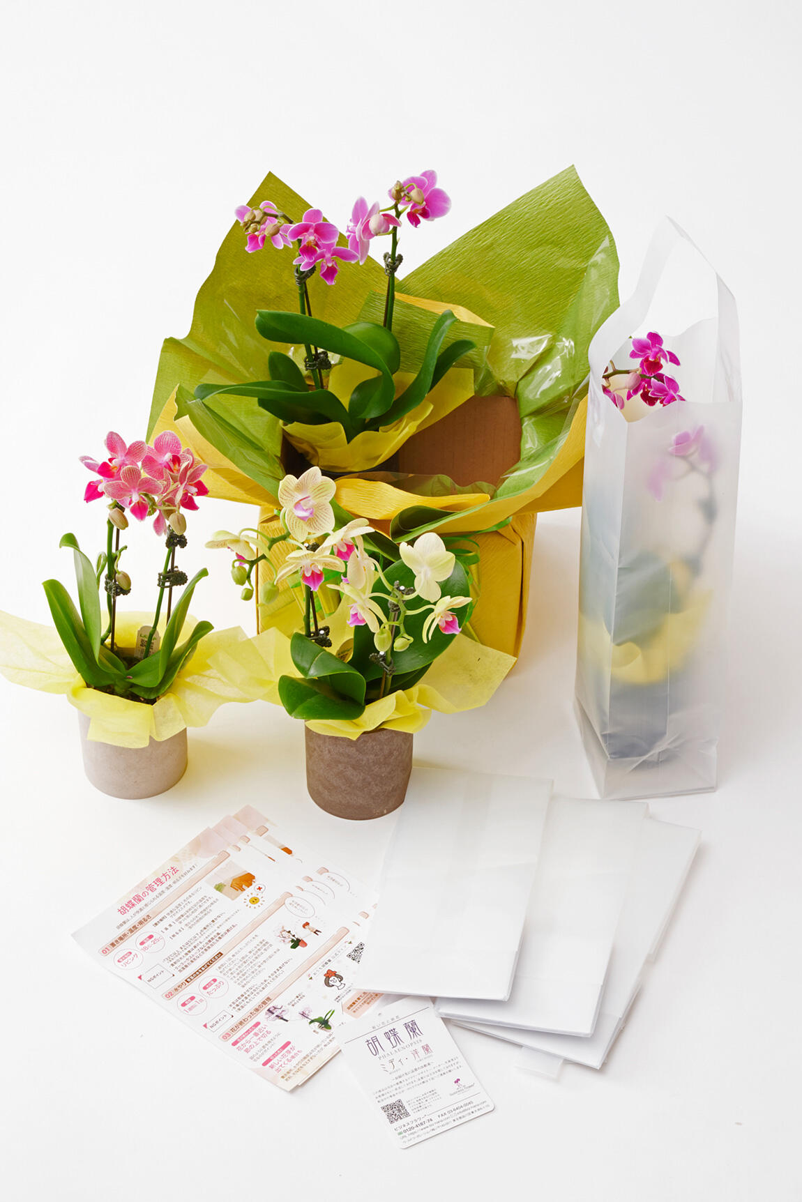 <p>取り分けたミニ胡蝶蘭は、持ち帰り専用の袋やお花の管理方法の説明書を同封しております。</p>