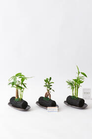 <center>炭と陶器皿の高級感溢れる<br>おまかせ3鉢セット</center><center>11,000円(税込)</center>