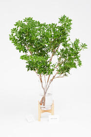 <center>台座と花瓶のセット！<br>お洒落な空間を演出</center><center>15,400円(税込)</center>