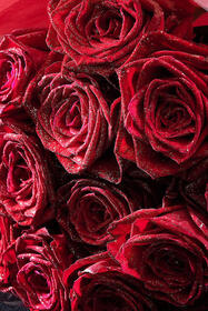 <center>ダイアモンドが輝く<br>贅沢な高級バラの花束</center><center>6,600円(税込)</center>
