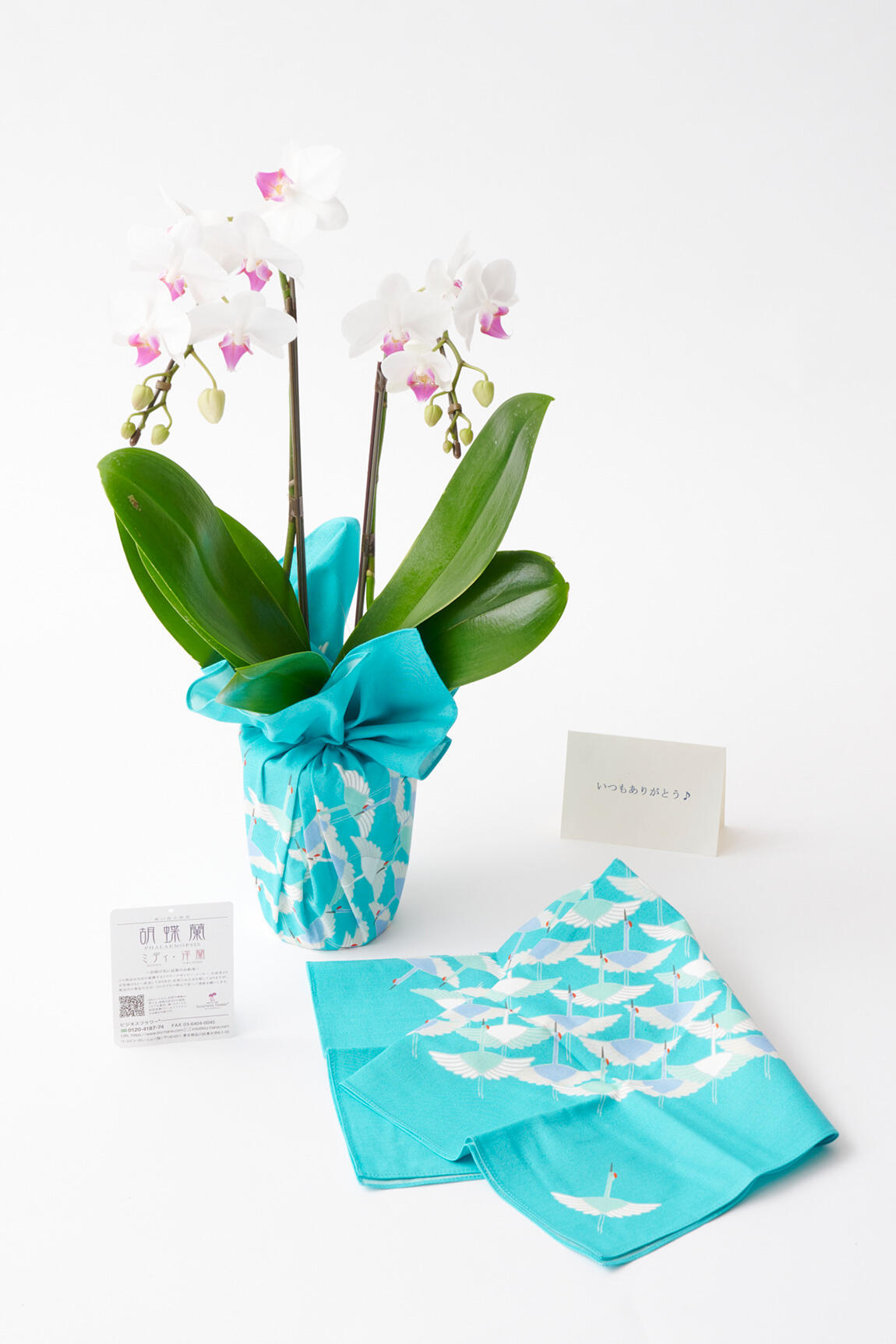 <p>1枚無料でメッセージカードをご用意することができますので、プレゼントやお祝いの贈り花としてもご利用いただけます。</p>