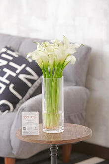 花瓶フラワー・フラワーベース　シリンダー（クリア）カラー（白）20本