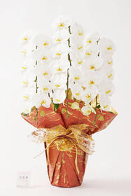 <center>漆器の金箔柄をイメージ！<br>芸術の秋向けラッピング</center><center>	24,200円(税込)</center>