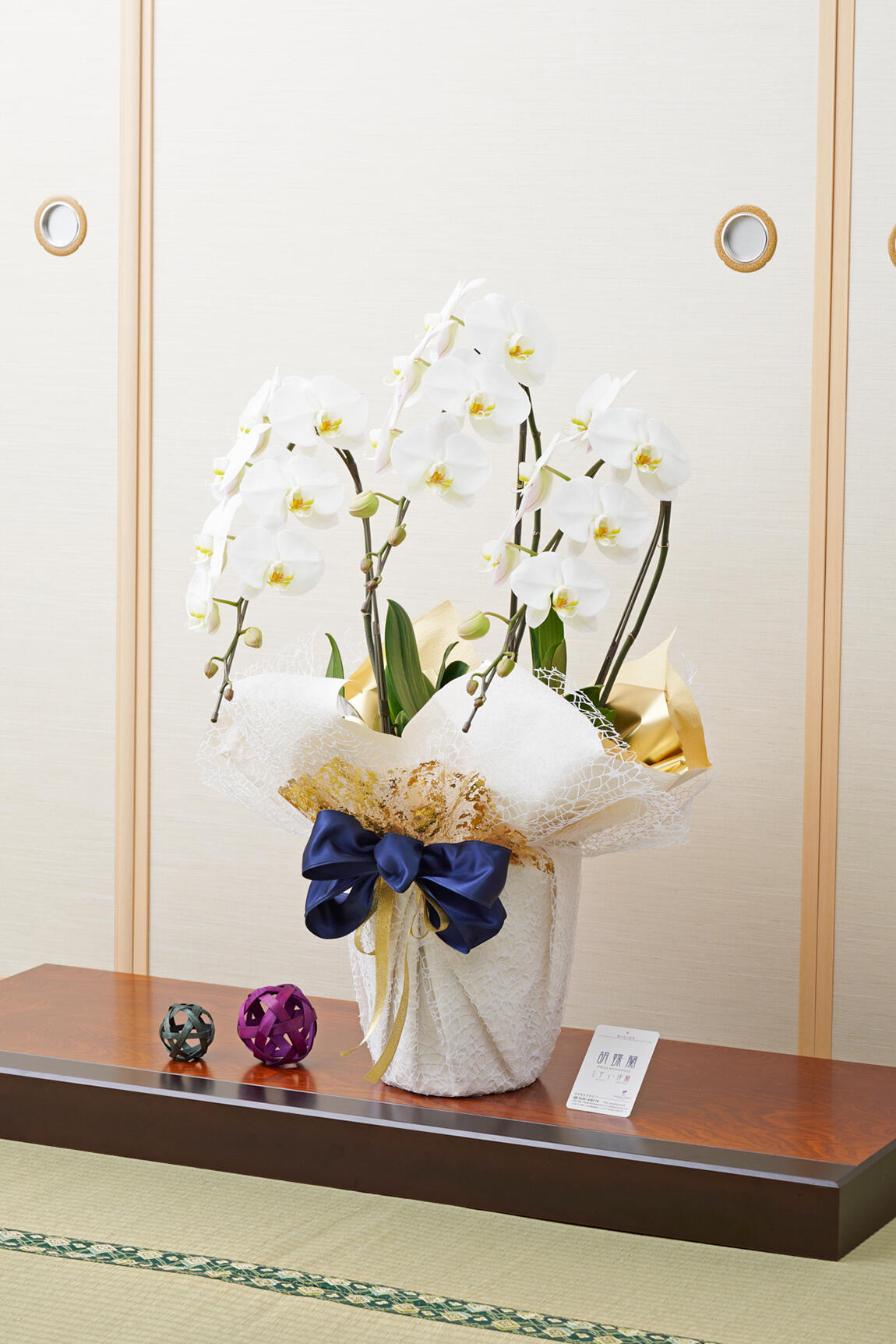 <p>オフィスや店舗に飾っていただいても存在感抜群のこだわりラッピング胡蝶蘭3本立です。</p>