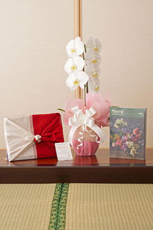 花とギフトのセット　胡蝶蘭　大輪1本立とカタログギフト（ミストラル/セーブル）風呂敷包み