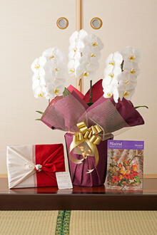 花とギフトのセット　胡蝶蘭　大輪3本立とカタログギフト（ミストラル/マリーゴールド）風呂敷包み