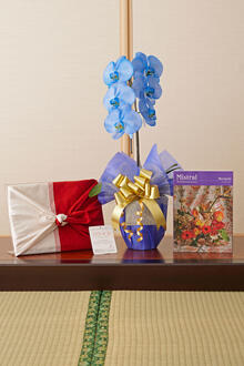 花とギフトのセット　選べる花色のカラー胡蝶蘭　彩 - irodori -　1本立（寒色系）とカタログギフト（ミストラル/マリーゴールド）風呂敷包み