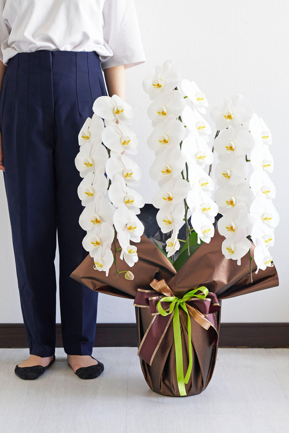 <p>胡蝶蘭と人が並んだ際のサイズのイメージです。（生花のためサイズは前後する場合がございます。）</p>