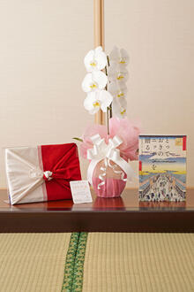 花とギフトのセット　胡蝶蘭　大輪1本立とカタログギフト（とっておきのニッポンを贈る/栄）風呂敷包み