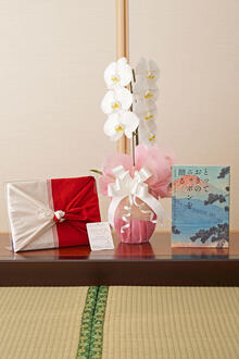 花とギフトのセット　胡蝶蘭　大輪1本立とカタログギフト（とっておきのニッポンを贈る/伝）風呂敷包み
