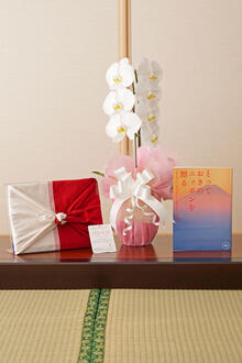 花とギフトのセット　胡蝶蘭　大輪1本立とカタログギフト（とっておきのニッポンを贈る/永知）風呂敷包み