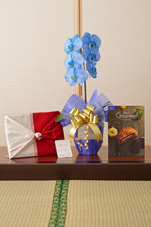 花とギフトのセット　選べる花色のカラー胡蝶蘭　彩 - irodori -　1本立とカタログギフト（BG/ボーヴォー)風呂敷包み
