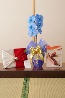 花とギフトのセット　選べる花色のカラー胡蝶蘭　彩 - irodori -　1本立とカタログギフト（BG/オルデネ)風呂敷包み