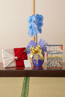 花とギフトのセット　選べる花色のカラー胡蝶蘭　彩 - irodori -　1本立とカタログギフト（とっておきのニッポンを贈る/栄）風呂敷包み
