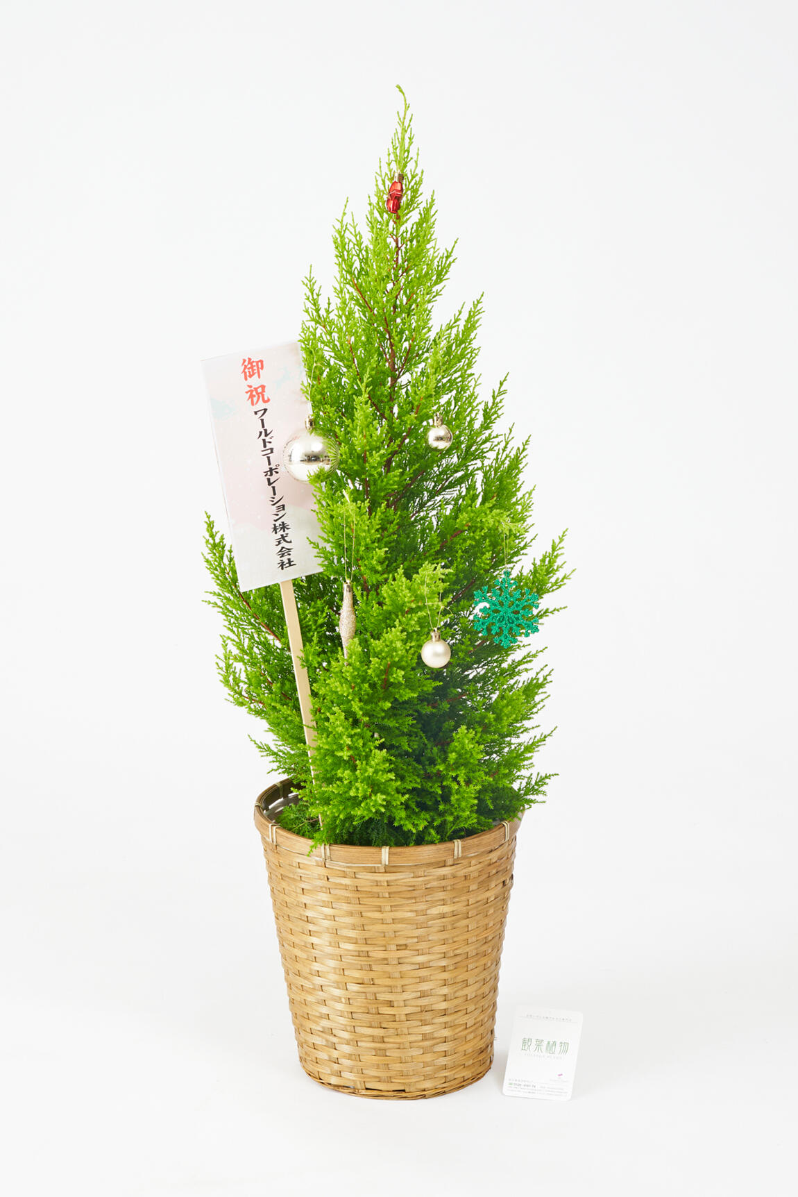 <p>クリスマス期間限定の観葉植物にも、立札かメッセージカード（いずれか1点）を無料でお付けすることが出来ます。<br />
クリスマスデザインの立札やメッセージカードをご希望のお客様は、無料オプションを一緒にカートに入れてお申込みください。</p>