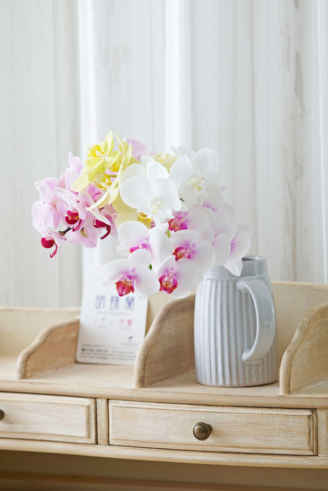 <p>胡蝶蘭ミディは切り花にしても寿命が長く、2週間ほど日持ちし、長く飾ることがてきるフラワーギフトです。</p>