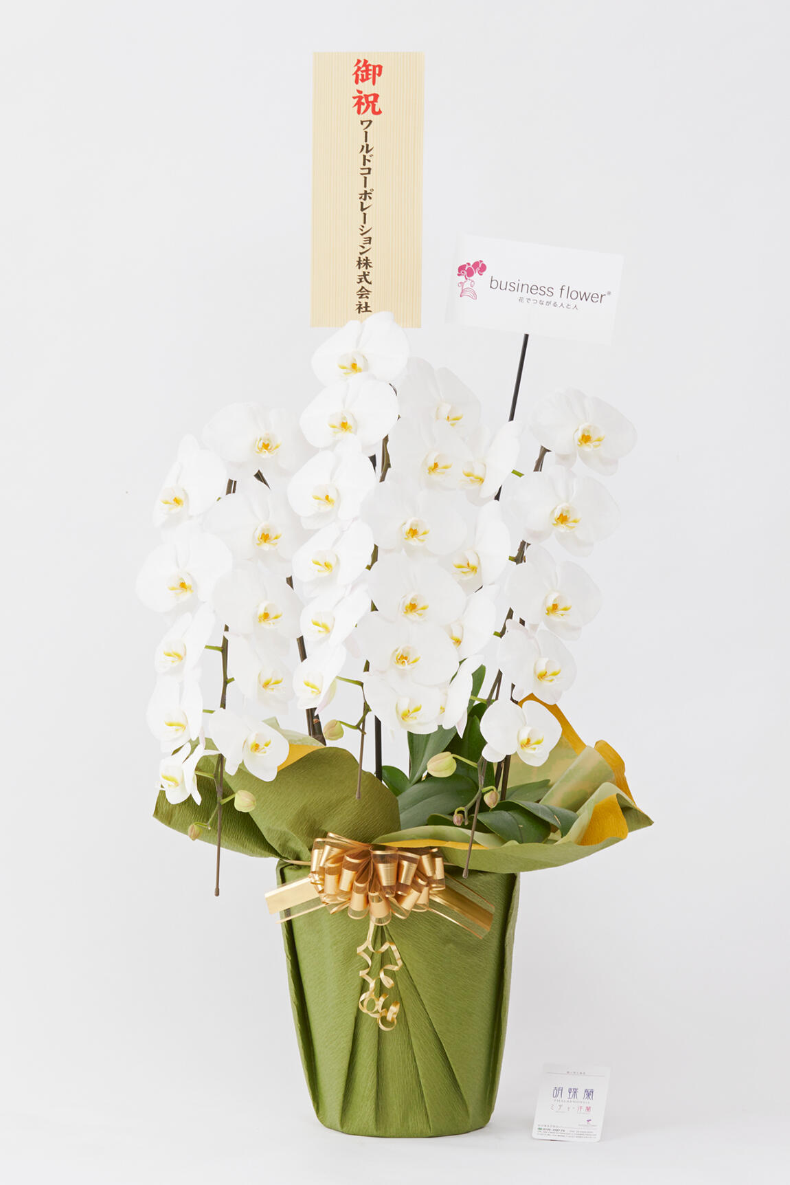 <p>お祝い花の通販サイトビジネスフラワーでは、別途無料でお名札をお付けできるので、フォーマルなビジネスシーンでも贈りやすく、会って直接お祝い花を渡すことができない方へも気持ちを込めた贈答花をお届けする事が可能です。</p>