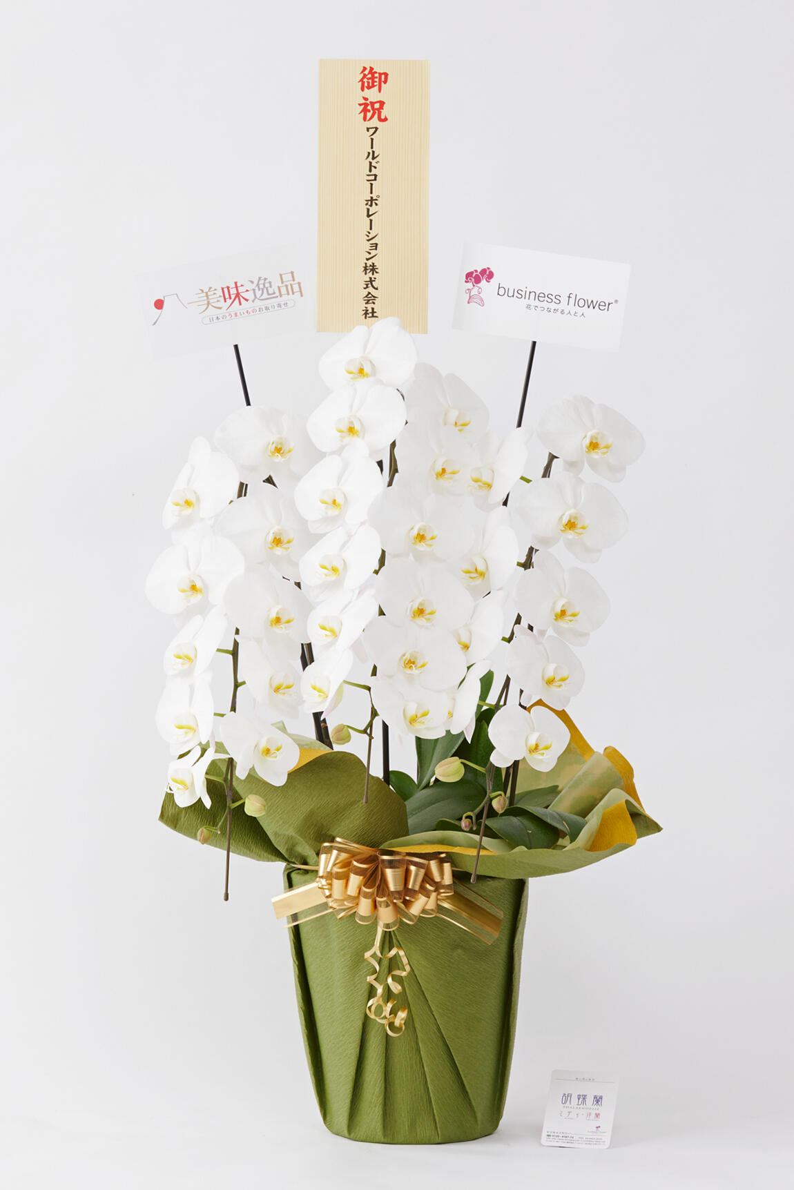<p>お祝い花の通販サイトビジネスフラワーでは、別途無料でお名札をお付けできるので、フォーマルなビジネスシーンでも贈りやすく、会って直接お祝い花を渡すことができない方へも気持ちを込めた贈答花をお届けする事が可能です。</p>