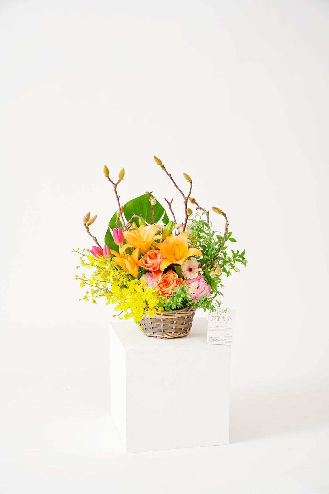<p>木蓮（モクレン）のアレンジメントフラワーは3月までの春限定のお祝い花ですので、春の開店祝い、開業祝い、移転祝い、開院祝いなどのお祝い花にいかがでしょうか。</p>