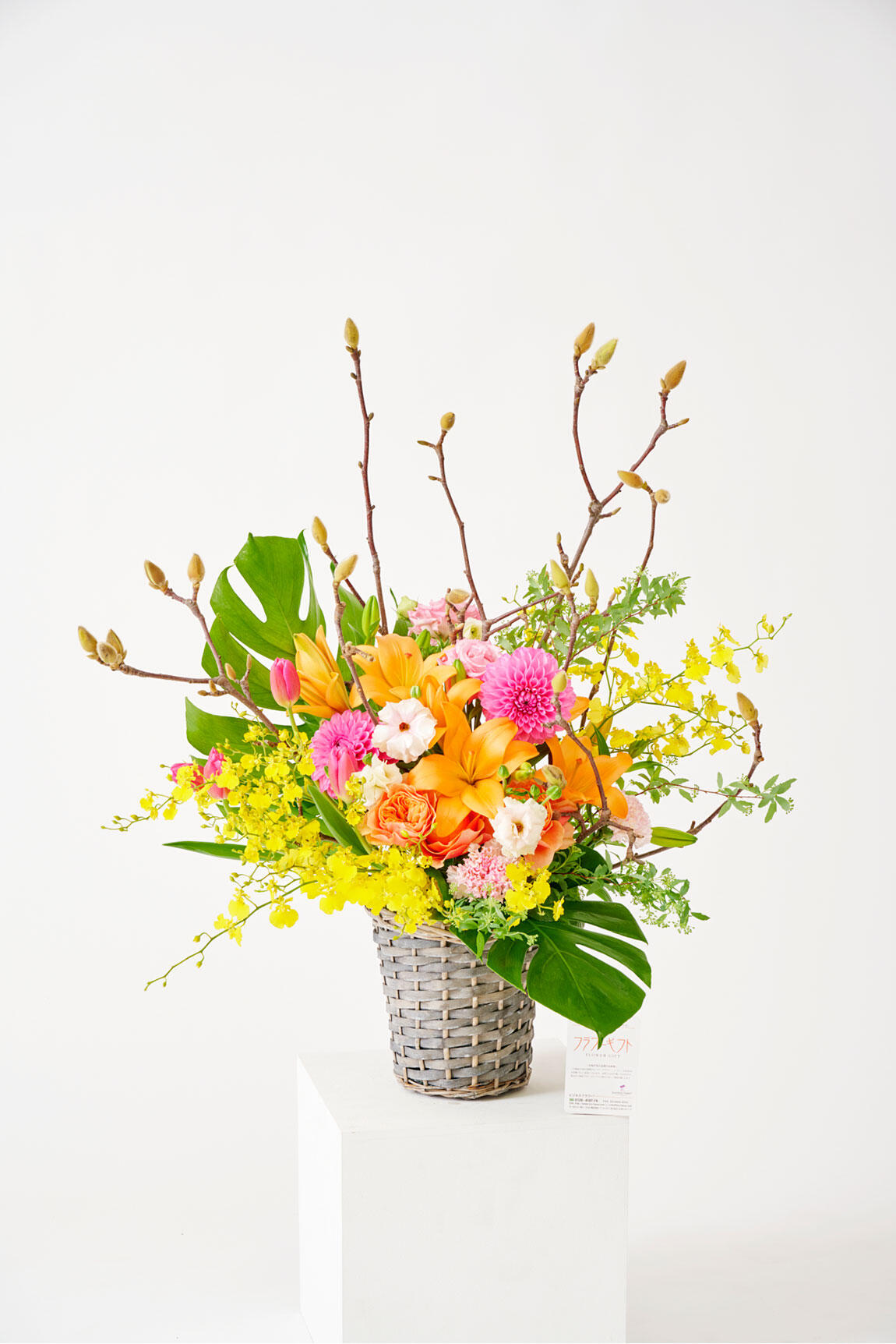<p>木蓮（モクレン）のアレンジメントフラワーは3月までの春限定のお祝い花ですので、春の開店祝い、開業祝い、移転祝い、開院祝いなどのお祝い花にいかがでしょうか。</p>