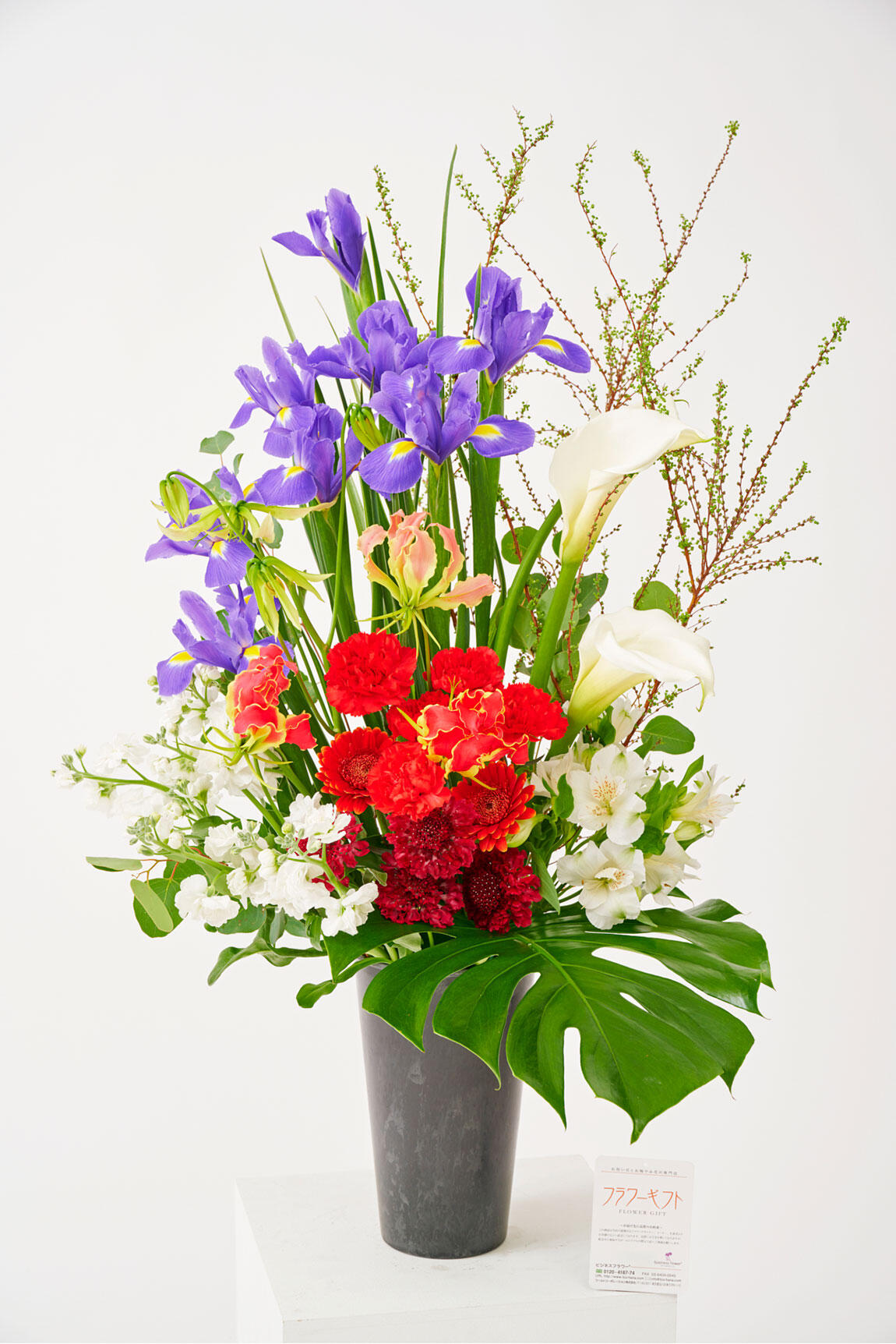 <p>アイリスのアレンジメントフラワーは4月までの春限定のお祝い花ですので、春の開店祝い、開業祝い、移転祝い、開院祝いなどの贈り物にいかがでしょうか。</p>