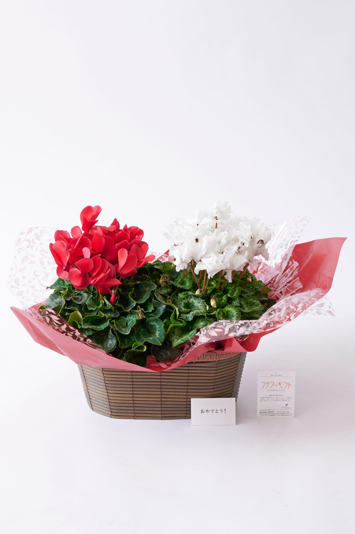 <p>お祝い花の通販サイトビジネスフラワーではシクラメンの鉢植えをギフトとして贈られる場合には、無料でメッセージカードをお付けいたします。</p>