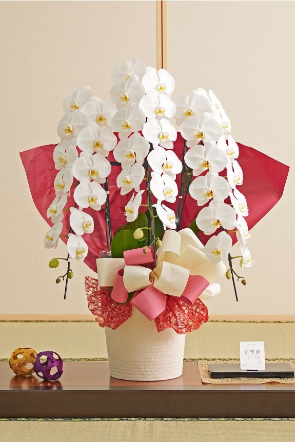 イベント・行事で選ぶ全商品