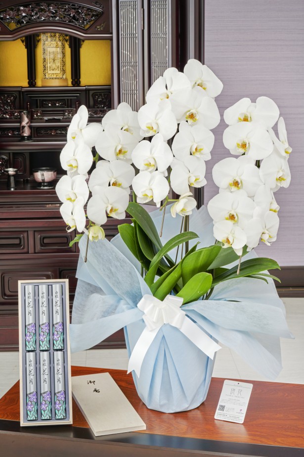 ＜ご自宅専用＞フューネラル胡蝶蘭3本立（白）　24～27輪程度　［線香セット］