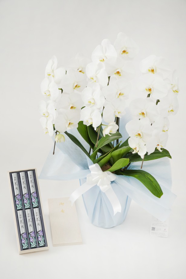 <p>ご自宅に飾る日頃の仏壇用花としては勿論、ご自宅葬などへお式前日までにお届けすることもできます。</p>