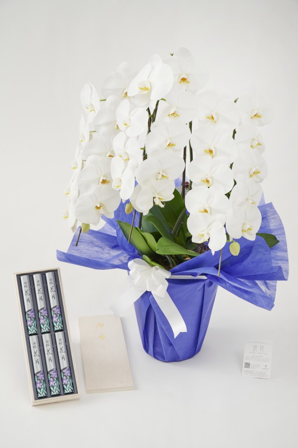 <p>ご自宅に飾る日頃の仏壇用花としては勿論、ご自宅葬などへお式前日までにお届けすることもできます。</p>