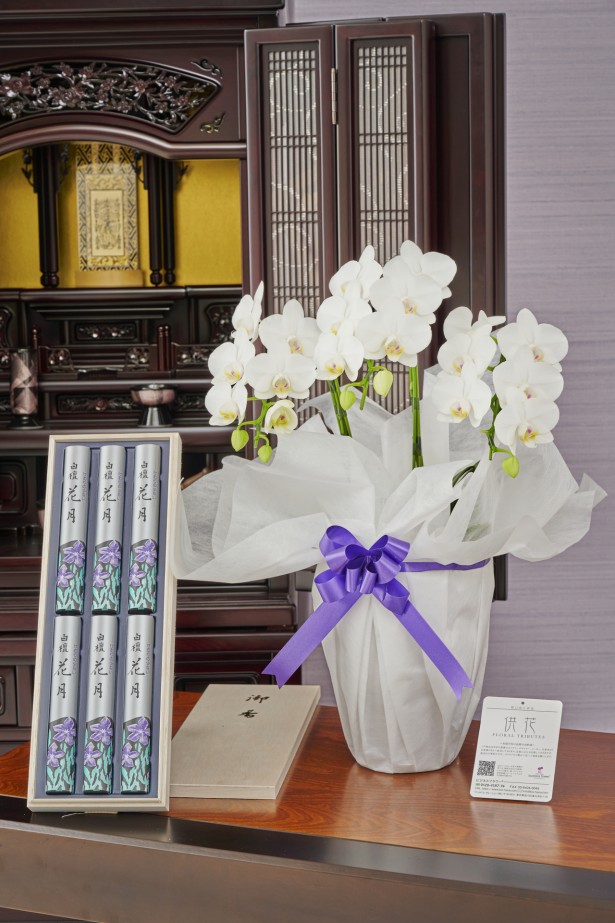 ＜ご自宅専用＞フューネラルミディ胡蝶蘭（白）　3本立（27輪以上）　［線香セット］